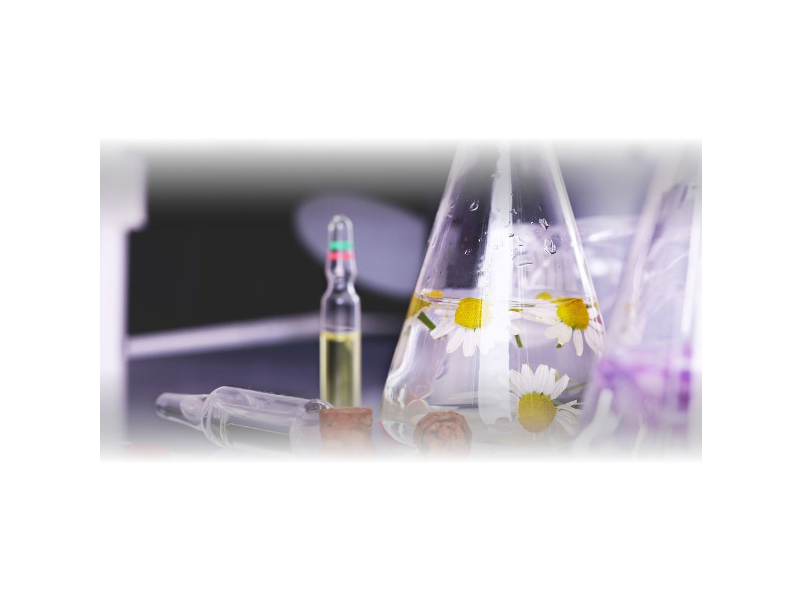 Freshtek Bawełna Neutralizator 250ml